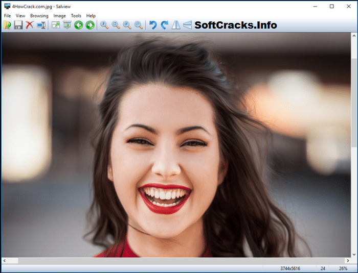 Salview 2.3 with Crack + Serial Key (x86/x64) [Latest] Version Free Download 2021