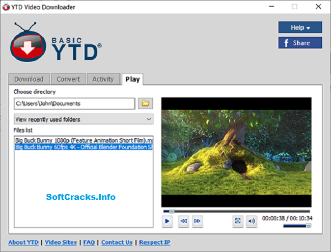  YTD Video Downloader Pro 7.3.23 Crack incl License Key [2021]